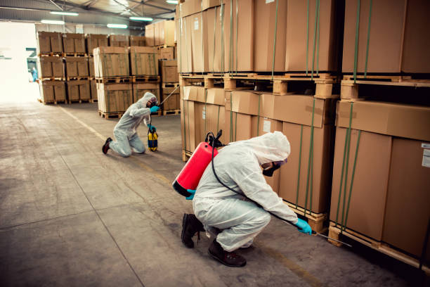 Best Insect Control  in Temperance, MI