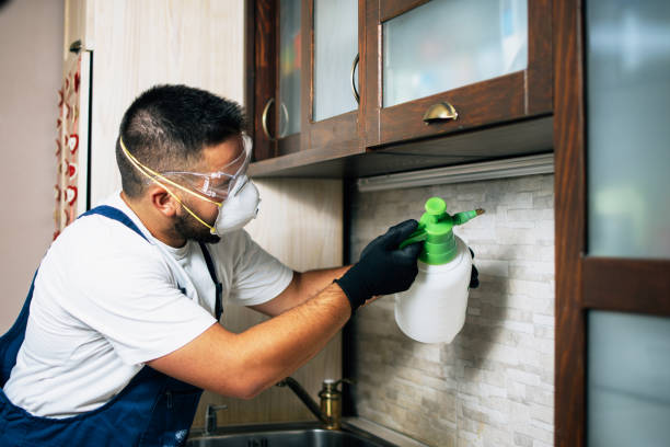 Best Emergency Pest Control  in Temperance, MI
